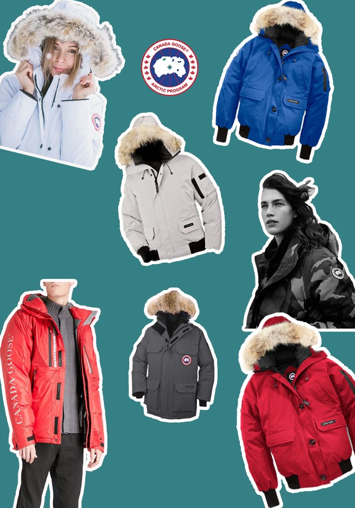 鎶勮鐨勬渶楂樺鐣屾湁澶氶珮,canadagoose