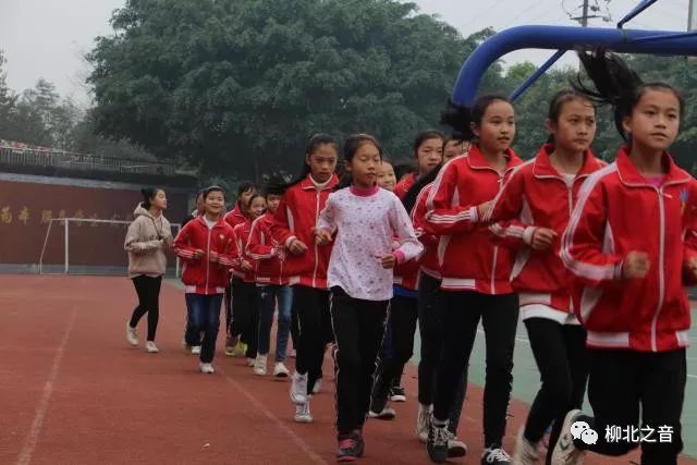 爱体育看体育赛,柳师附小运动会