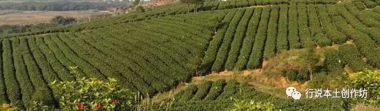 清远大山自然美景,清远的大山风景优美句子