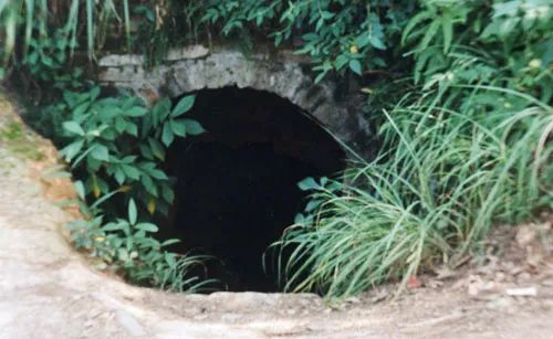 国内首次大范围、大规模、成系统编写红色文化教材！我宣传、我推荐，我为赣州代言！