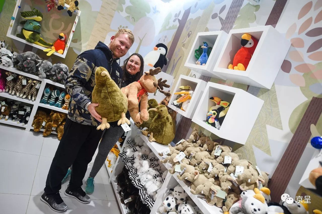 鹈鹕树懒食蚁兽？北京这家非主流玩偶店教你认认新萌物