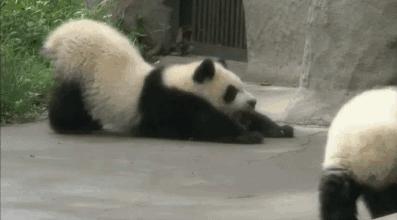 送福利元旦活动来一波,元旦送福利来啦