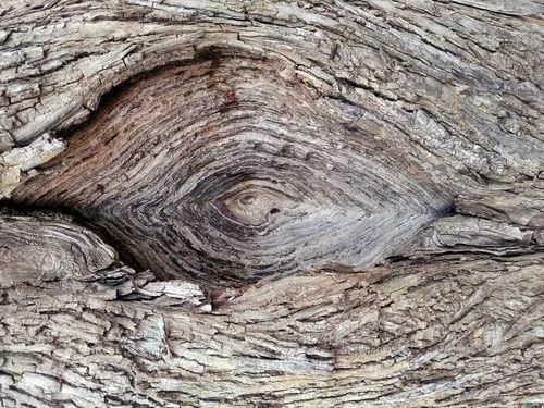 爱爱射出血怎么办？｜荷小爱请回答