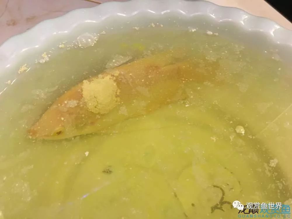 招财鱼烂肉最佳治疗方法,与食管癌抗争的五年