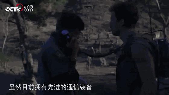 揭秘丛林战场，为什么很多军事行动都发生在丛林区？