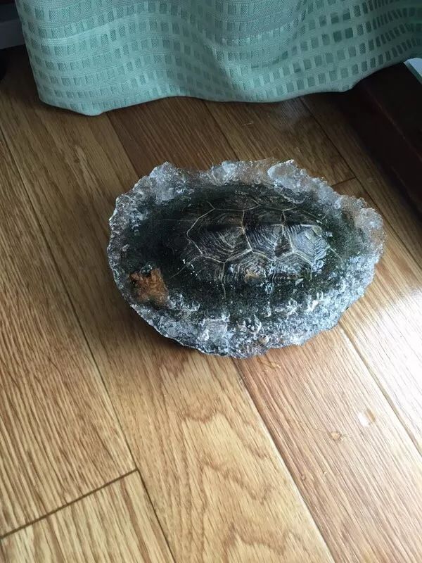 今年最强的冷空气,冷空气凶猛来袭