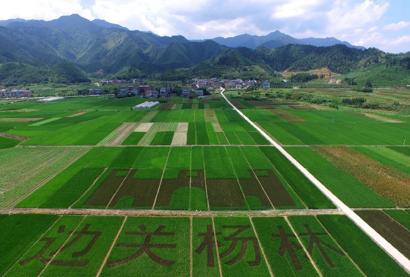 浙江省各地乡村旅游排名,浙江乡村游玩