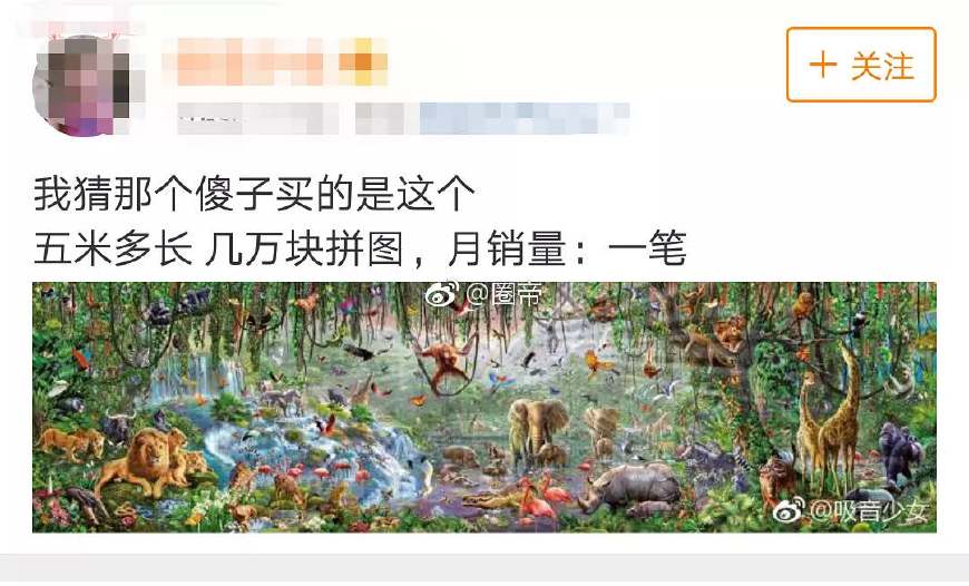 雷佳音送岳云鹏女儿5米拼图,雷佳音送岳云鹏女儿的拼图叫什么