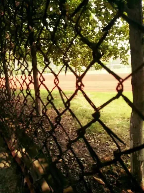 怀念莲塘一中,校园生活莲塘一中