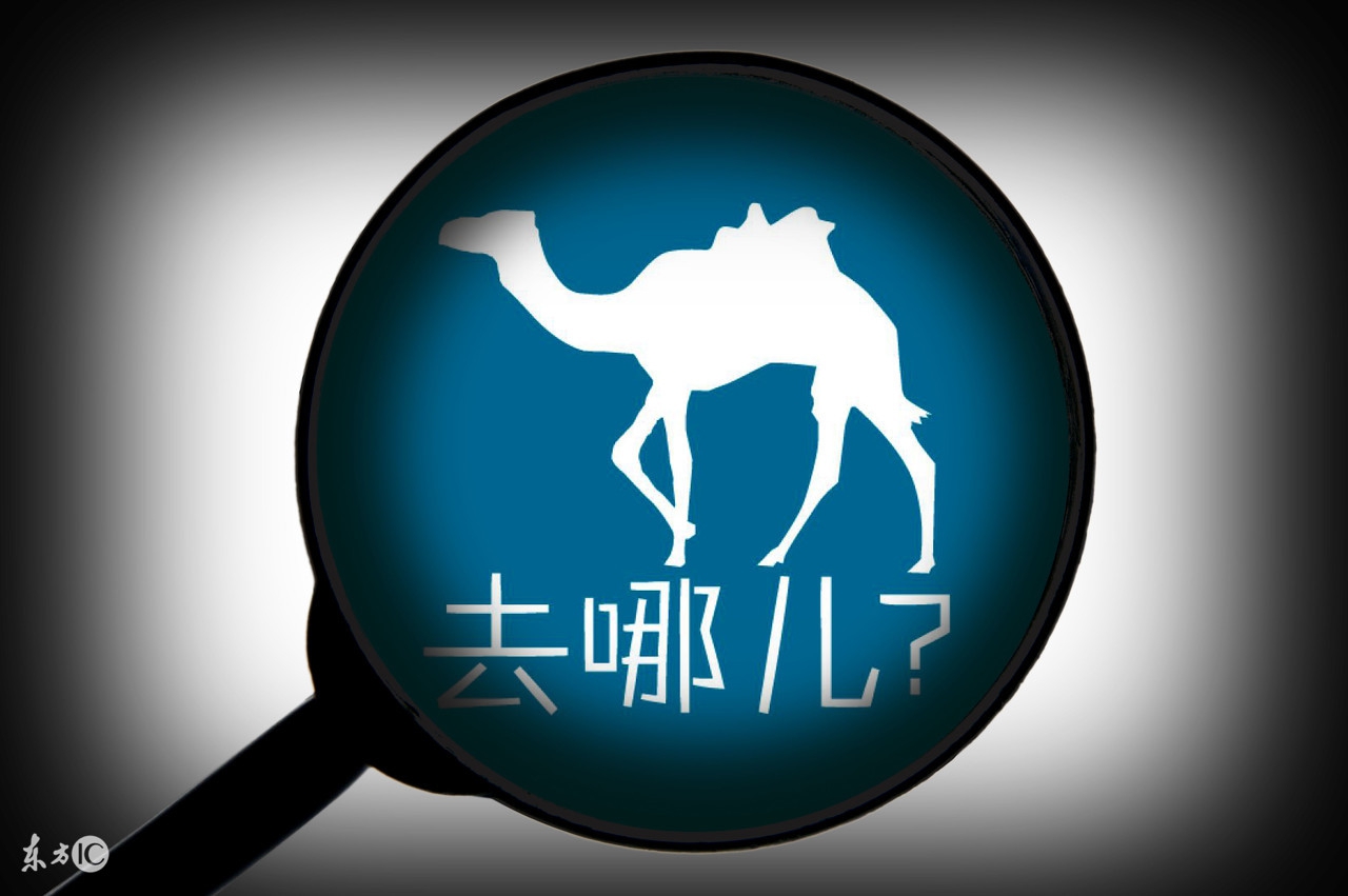 买机票上平台还是官网？各平台间的区别！