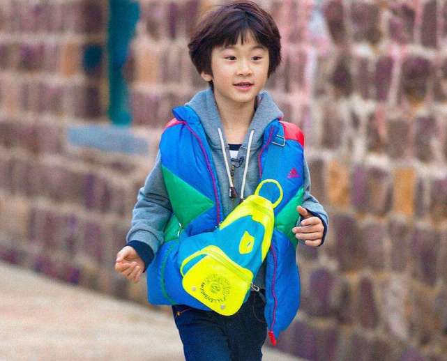 袁泉汪峰,袁泉和汪峰