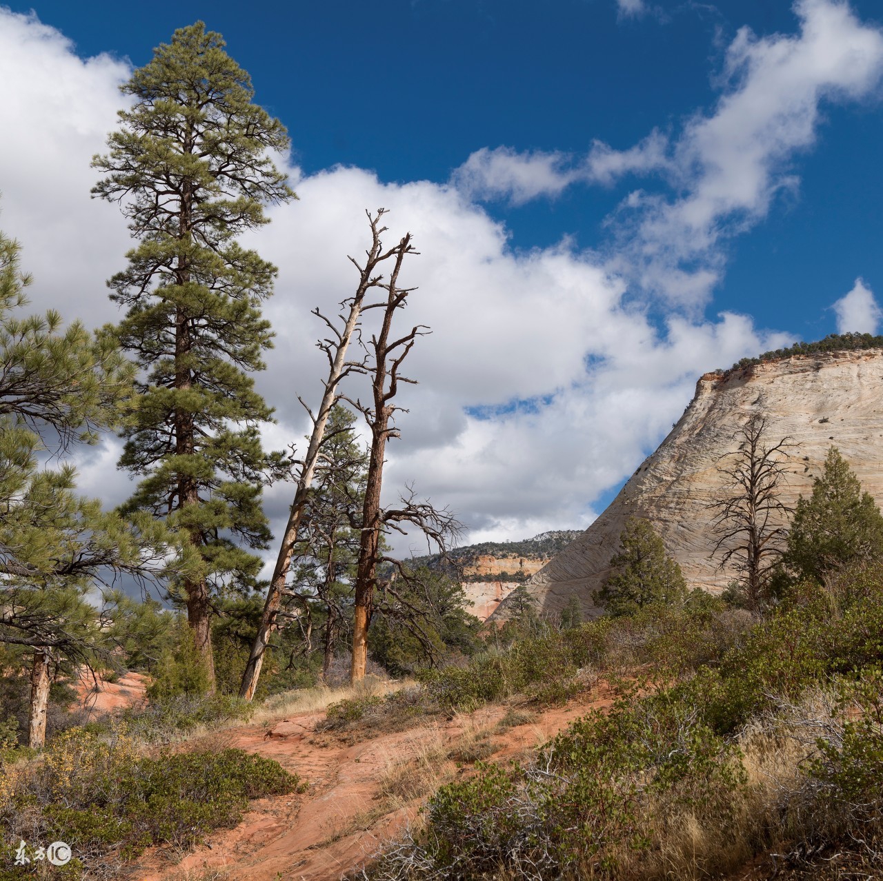 懂占卜的人的特征,懂占卜的人
