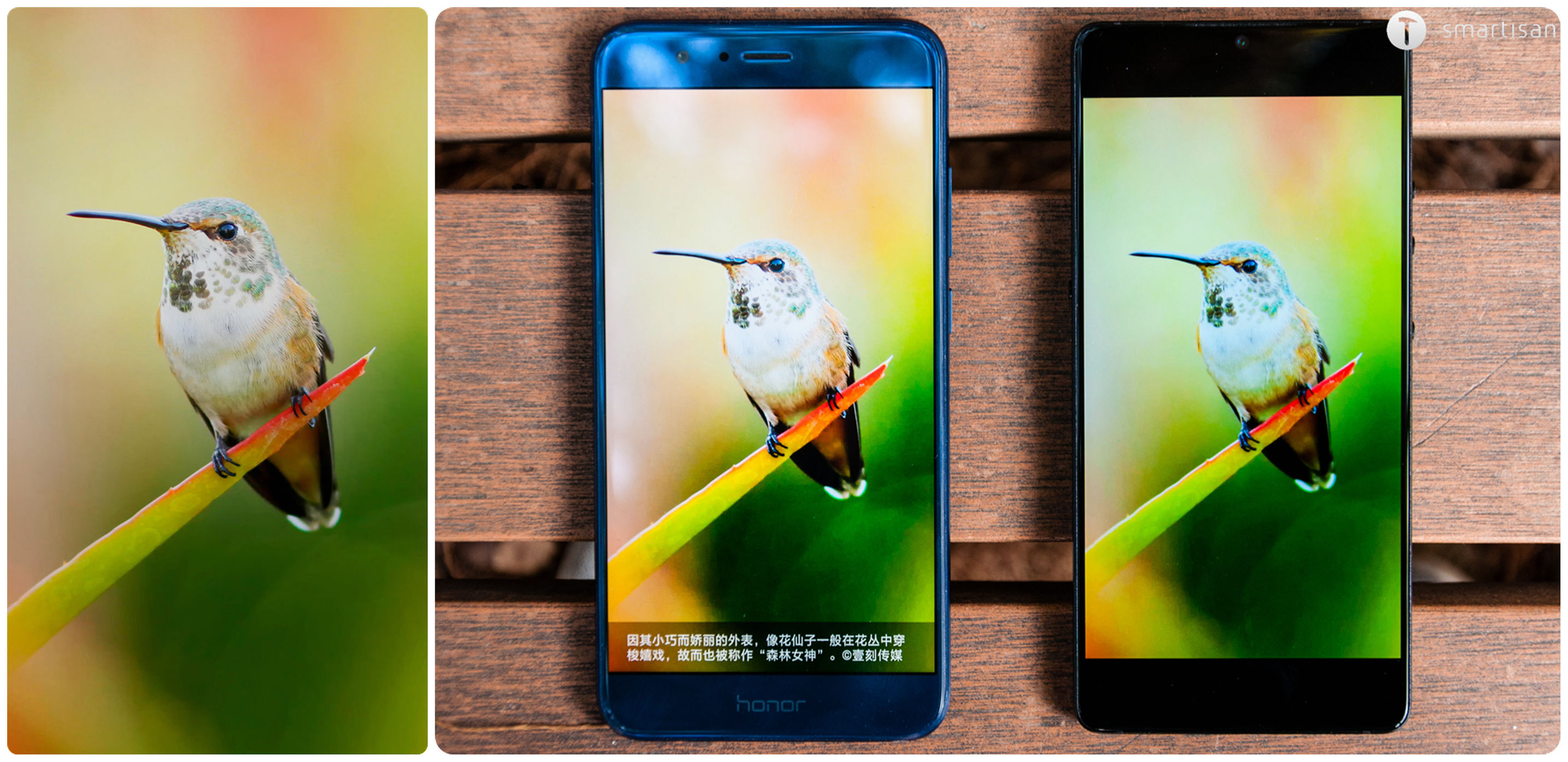 坚果pro2特别版,锤子坚果pro2