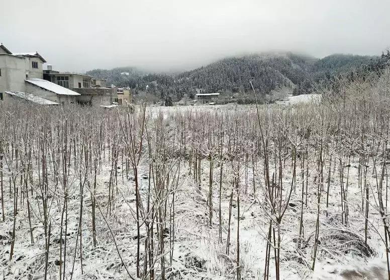 利川市冰雪奇缘滑雪场,利川冰雪奇缘滑雪场
