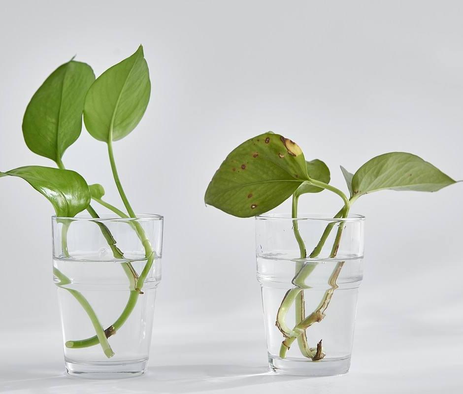 纸杯利用改造,一次性纸杯改造工艺品