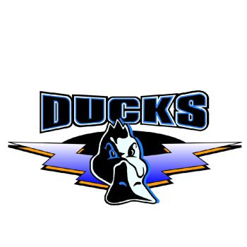 cba辽宁队名称变化,cba唯一的辽宁王朝