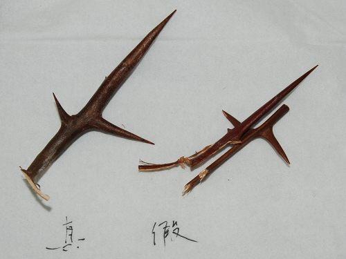 造假最多的十个中药材,名贵中药材造假的有哪些