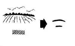 为什么甲骨文的存在如此刻骨铭心,甲骨文成功入选世界记忆名单