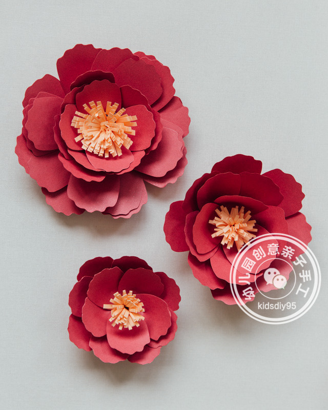 怎么用卡纸做牡丹花和郁金香,牡丹花手工制作卡纸小学