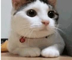 夏利三缸发动机,夏利初代