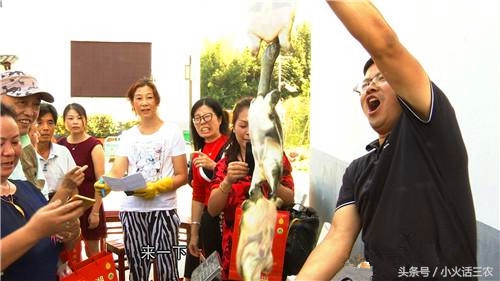 野生甲鱼最佳养殖方法,野生甲鱼的养殖方法与技术