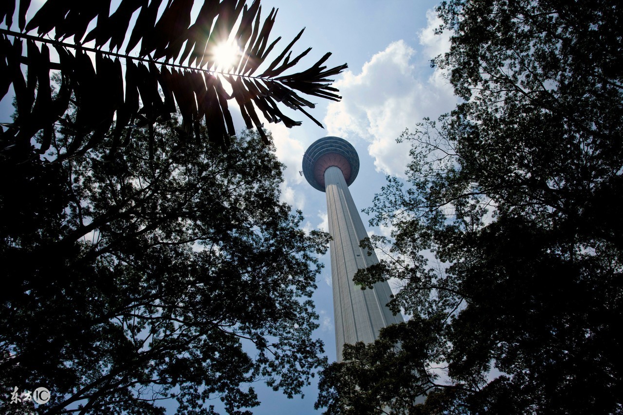 金三角的三绝：*粟罂**、和尚、人妖