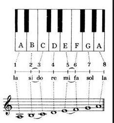 钢琴简谱入门零基础知识,怎样学二胡入门简谱知识讲解
