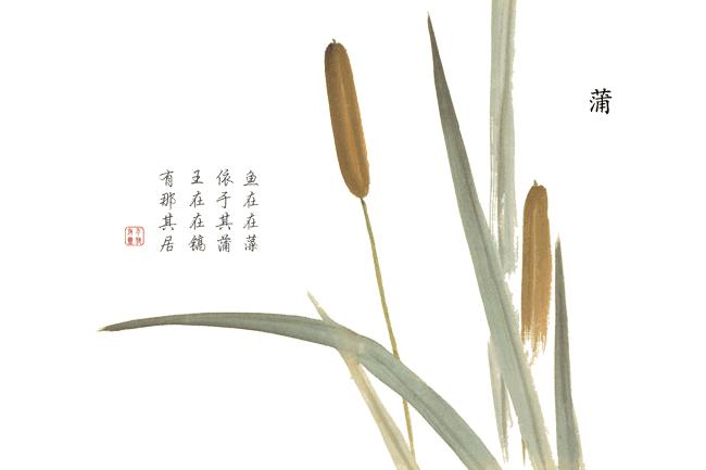 诗经中最唯美的名字,王姓女孩诗经中最唯美的名字