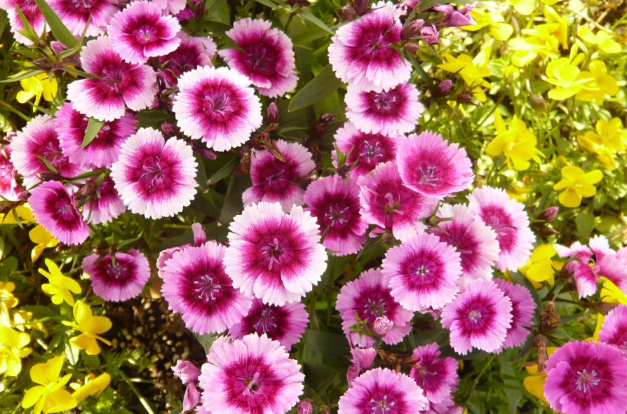 当你的人生陷入绝望,当你人生陷入困局