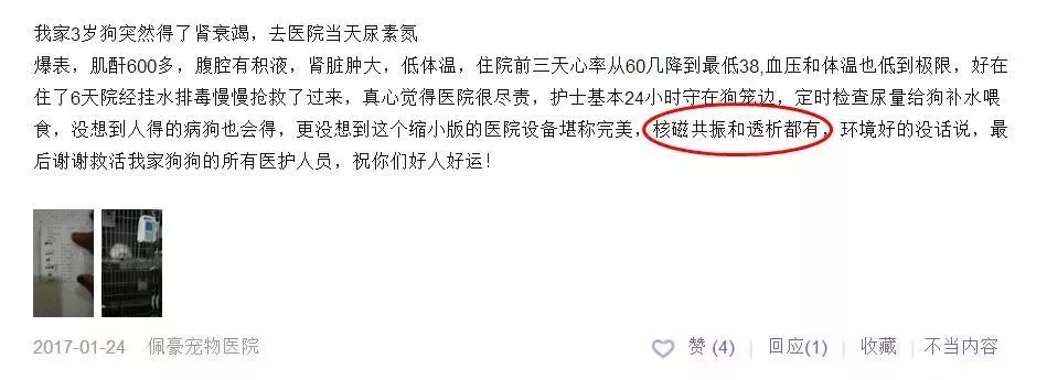 铲屎官宠物诊所,铲屎官宠物医院优惠