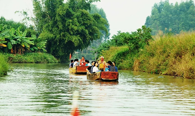 江门小鸟的天堂旅游攻略,江门小鸟天堂附近免费游玩的地方