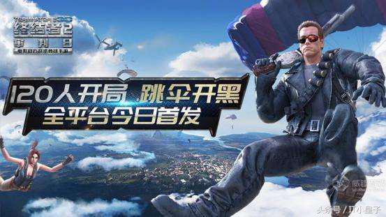 大吉大利，今晚吃丁磊养的鸡