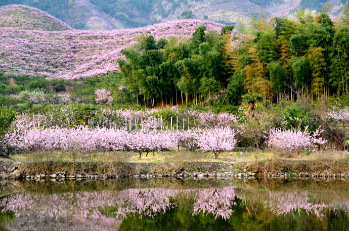2018年浙江地方景点旅游日历大合集!含杭州,建德,温州,金华!
