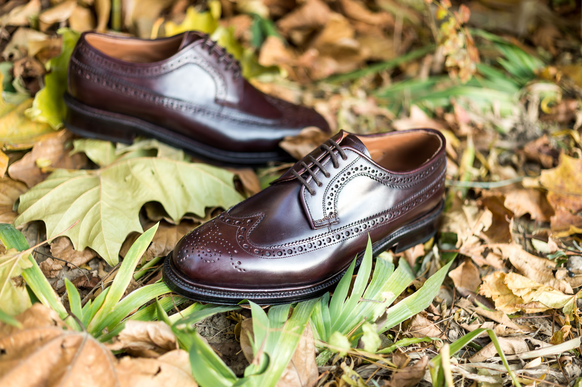 马臀皮鞋也能讲性价比？来自西班牙的它还真不错