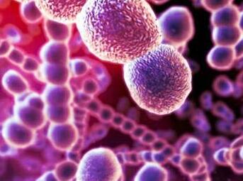 绿脓杆菌致儿童死亡率极高，但做爸妈的更要注意这两种病菌！