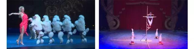 长隆国际海洋王国之旅,长隆企鹅海洋王国两天一夜攻略