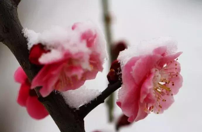 感慨历史变迁的古诗名句,表达岁月沧桑的古诗句大全