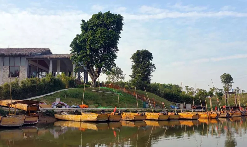 江门小鸟的天堂旅游攻略,江门小鸟天堂附近免费游玩的地方