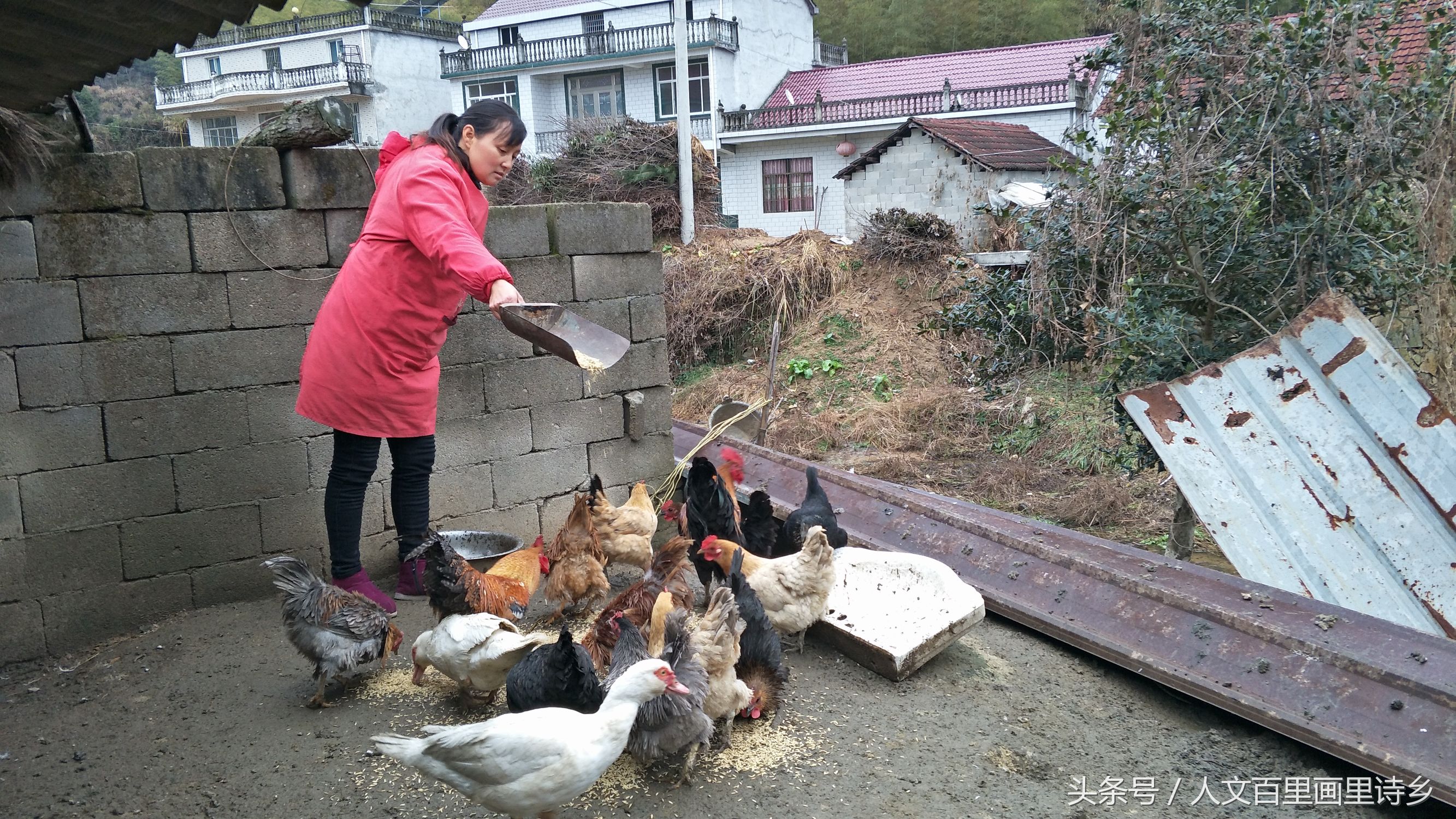 电子商务助力农村发展的成功案例,电子商务助力乡村振兴图片