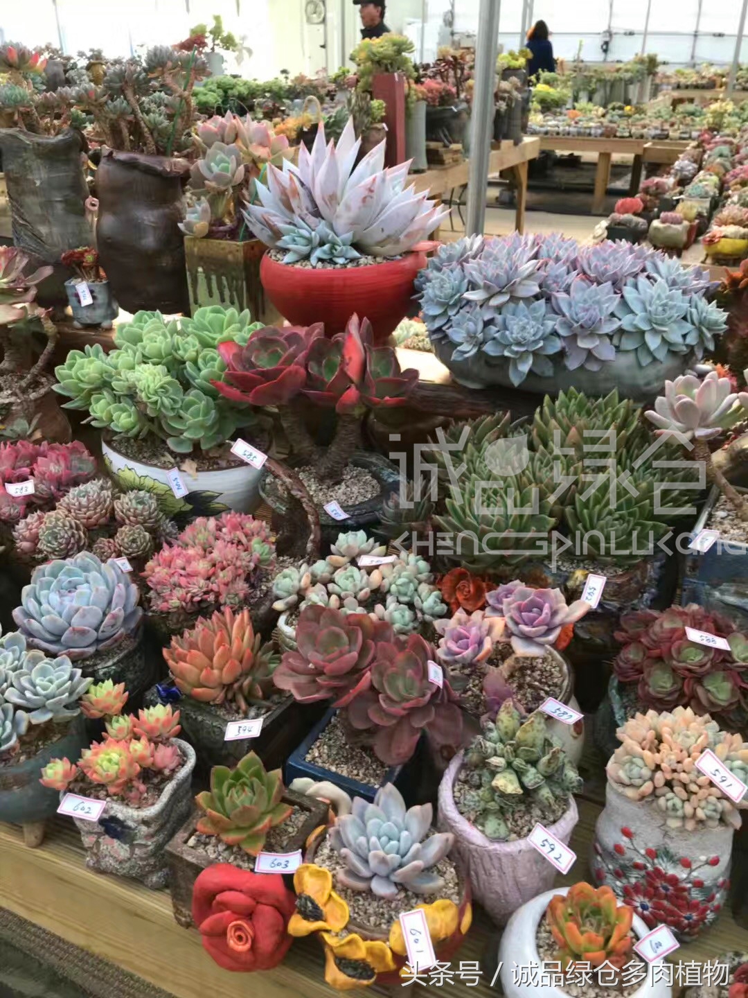 满足你对的所有幻想,满足你对生活所有的想象