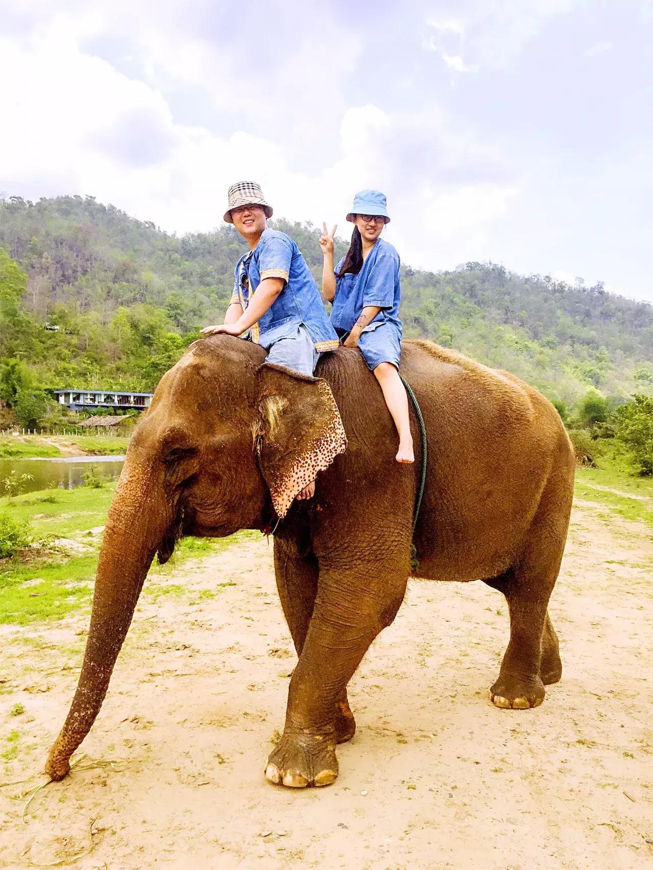 郑州耿直大妞美国开店，包下机舱，签了48个世界知名母婴品牌代理