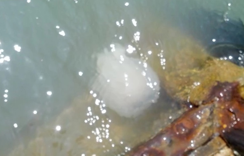 白本护照如何走遍全世界,护照白本推荐国家