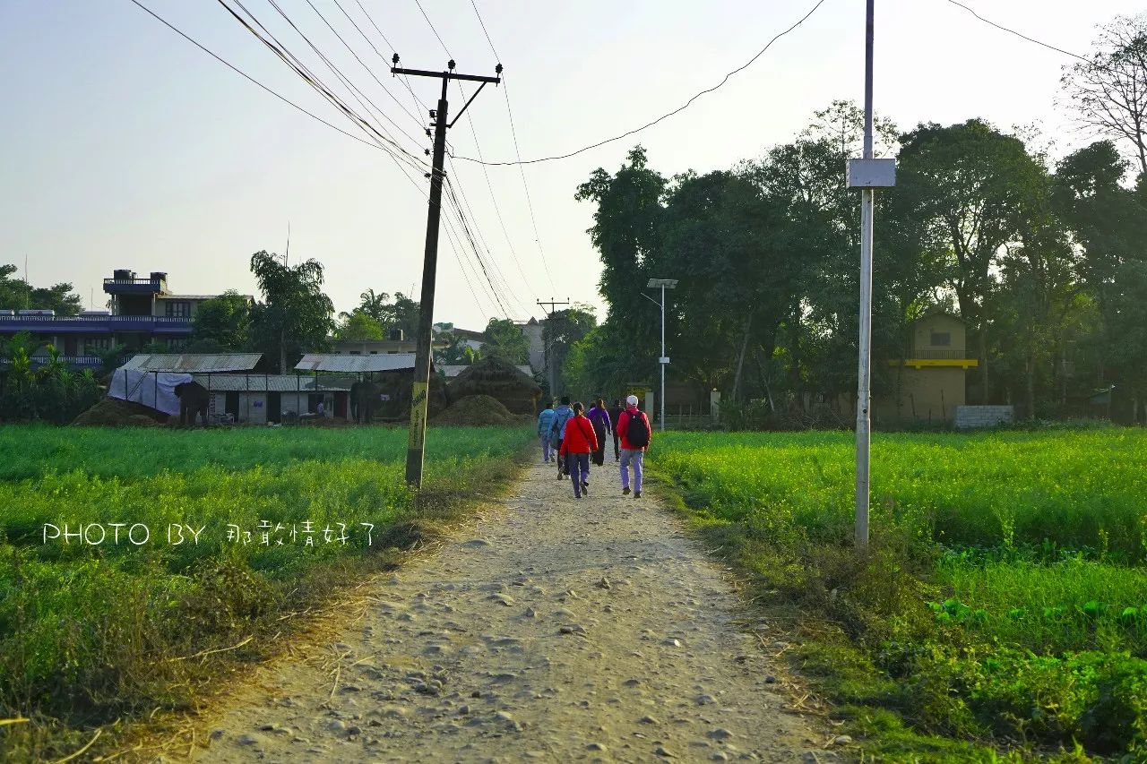 尼泊尔必买商品,尼泊尔购物街必买清单