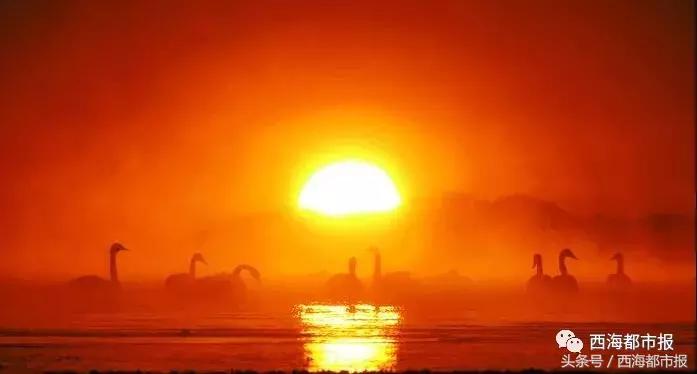 青海最惹眼的“尕网红”!“单挑哥”“白娘子”“老哇爷”