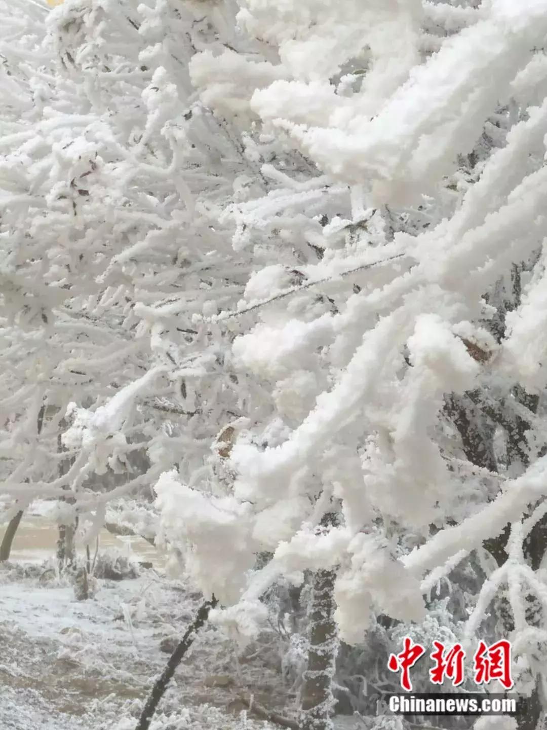 全网都在心疼这个男孩原视频,全网都在心疼这个十九岁男孩