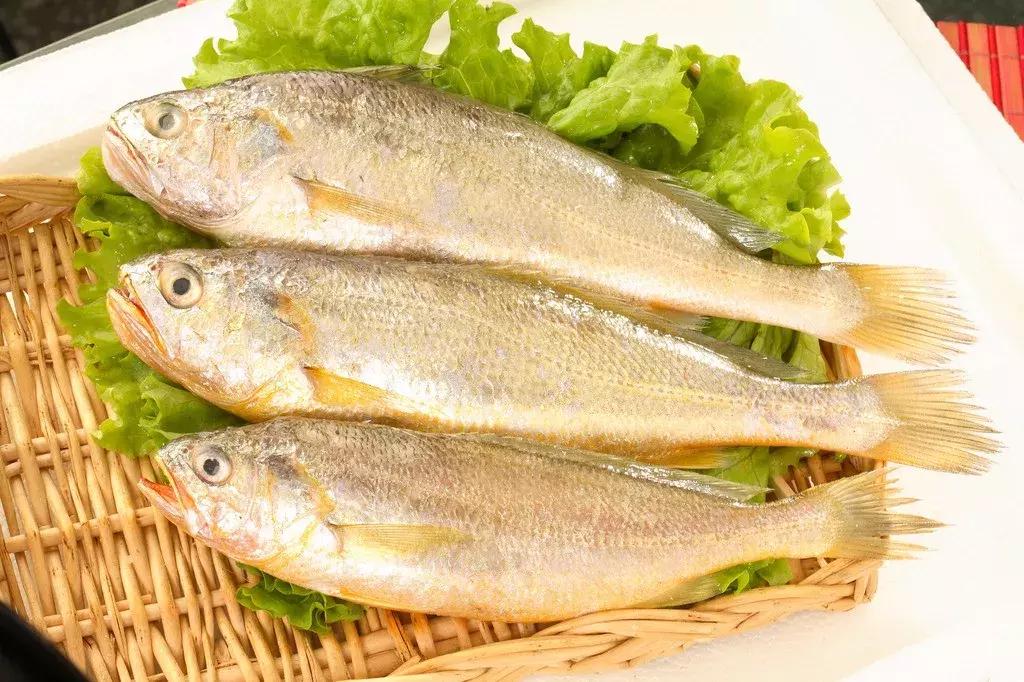 冬季不可错过的4种营养海鲜,这8种海鲜冬天吃更美味