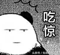 河北宠粮怎么样,河北宠粮