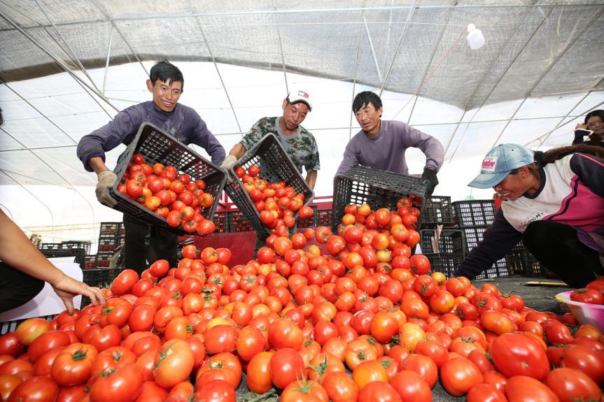 企业家启示录许家印的战略与格局,许家印对企业的启示