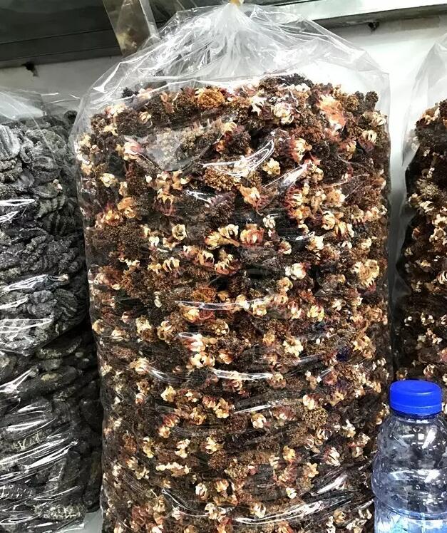 海参有上千种都是一样的吗,全世界海参有多少品种