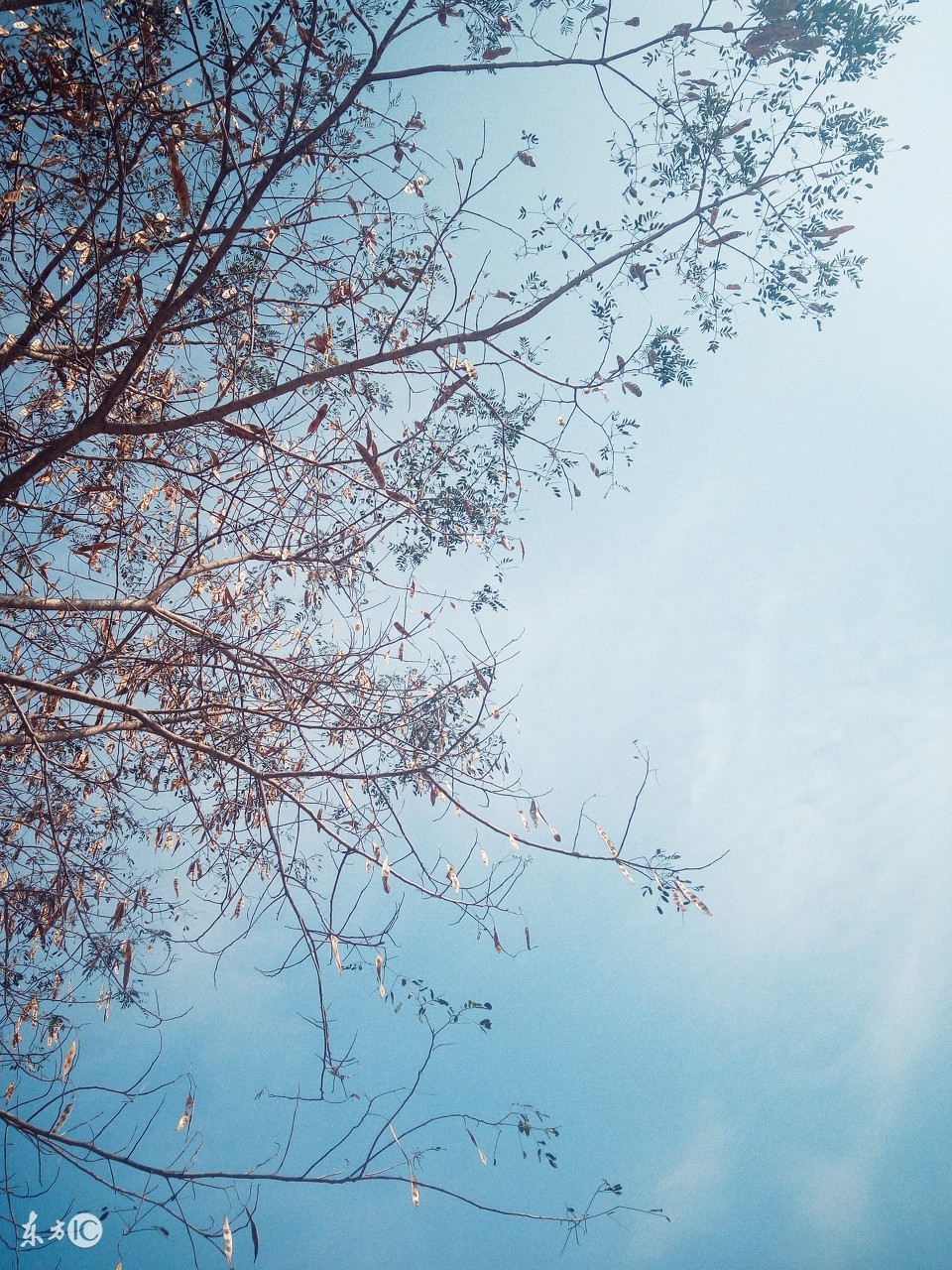 鹿邑吧,鹿邑吧最新视频